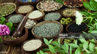 福州桑拿按摩终极体验：多家店铺深度对比分析，哪家更胜一筹？ 海报