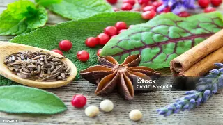 告别僵硬！福州按摩师私藏：让你酥麻到灵魂出窍的按摩手法大揭秘！